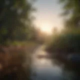A serene landscape symbolizing a fresh start