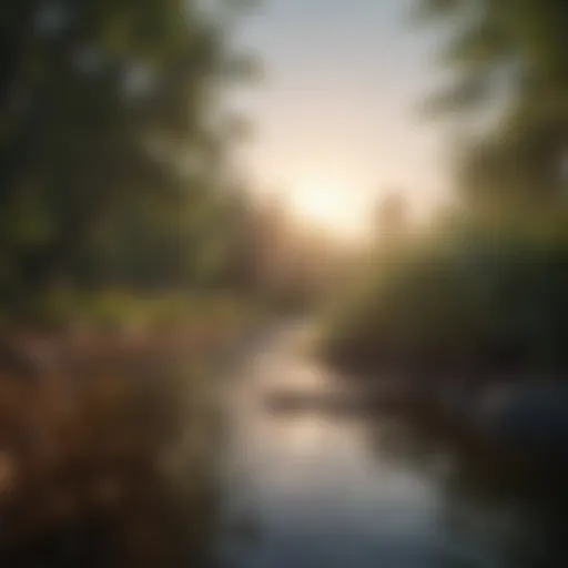 A serene landscape symbolizing a fresh start