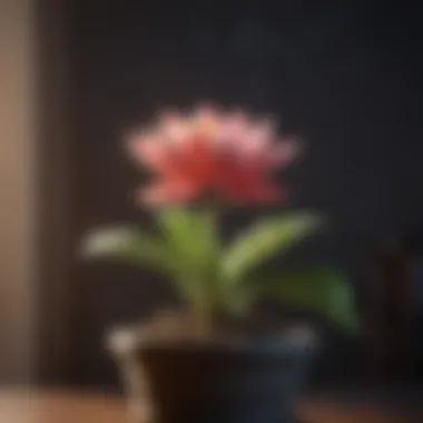 Symbol of Personal Growth A blooming plant symbolizing personal growth