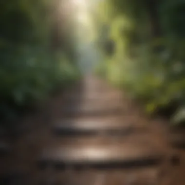 A Path of Resilience and Growth A path leading forward, representing resilience and growth