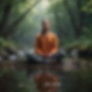 Harnessing Mindfulness for Emotional Control Mindful meditation practice in a serene environment