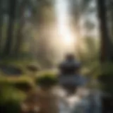 A peaceful landscape illustrating tranquility