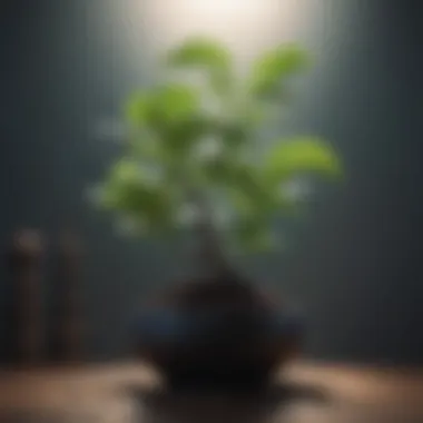 Growth and Renewal A blossoming plant representing growth from past experiences