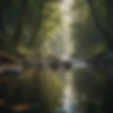 Tranquil Setting for Mental Clarity A serene landscape symbolizing tranquility and calmness.