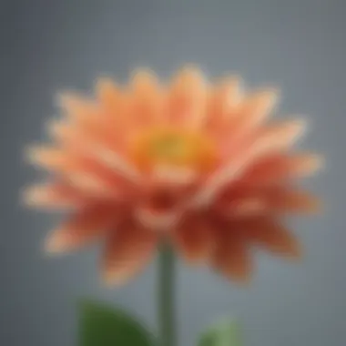 A close-up of a blooming flower representing growth and renewal