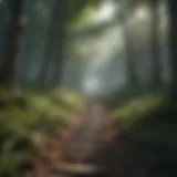 A serene landscape with a path leading through a tranquil forest