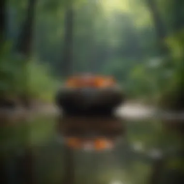 The role of nature in enhancing mindfulness Nature's influence on mindfulness