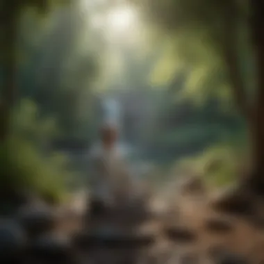 Personal Serenity Through Meditation Individual practicing meditation in a serene setting