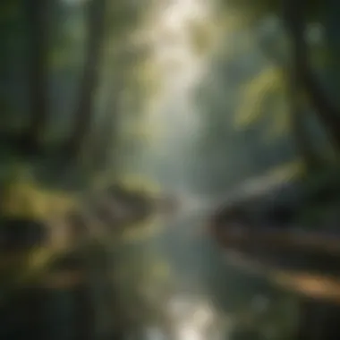 Nature's Embrace: Finding Calm A serene nature scene promoting relaxation