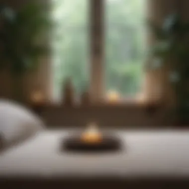 Enhancing Your Space for Meditation A tranquil scene with calming elements like plants and candles.