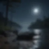 Serene night scene with calming moonlight
