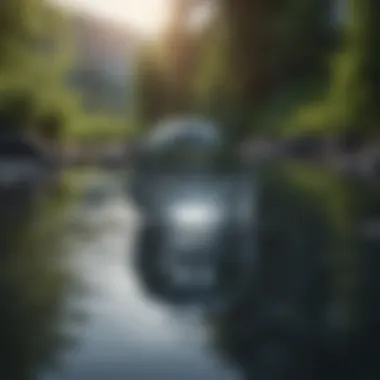 Reflections of Inner Balance Calm water reflecting tranquility