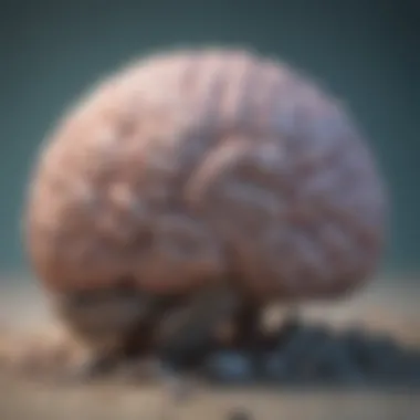 Abstract illustration of a brain with calm colors, representing mental clarity