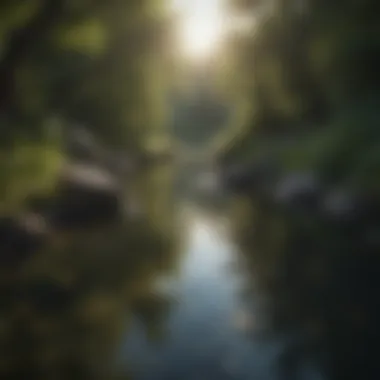 Finding Peace Within A tranquil water body, conveying peace and introspection.