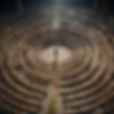 The Labyrinth of Life's Trials A labyrinth symbolizing life's complexities