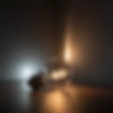 Illuminated Insight A light bulb illuminating a dark room, representing ideas and insight
