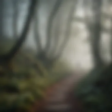 The Journey Through Uncertainty A winding path through a foggy forest, representing life's uncertainties