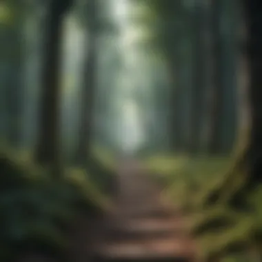 Clarity Through Complexity A clear path through a dense forest symbolizing clarity