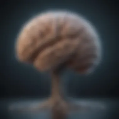 Understanding Thought Patterns Illustration showing a brain with pathways illuminating.