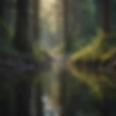 Finding Peace in Nature A serene landscape depicting tranquility and calmness.