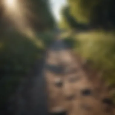 Pathway to Liberation A pathway symbolizing potential paths to liberation