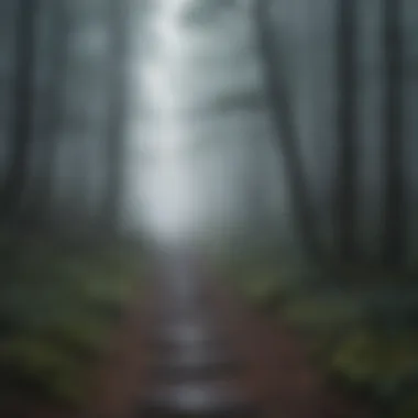 The Enigmatic Path of Disorientation A foggy forest path symbolizing confusion and uncertainty