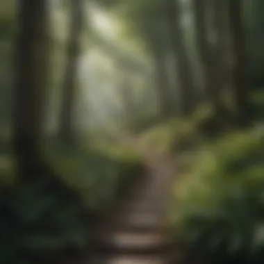 Navigating Life's Winding Paths A winding path through a dense forest, symbolizing life's journey