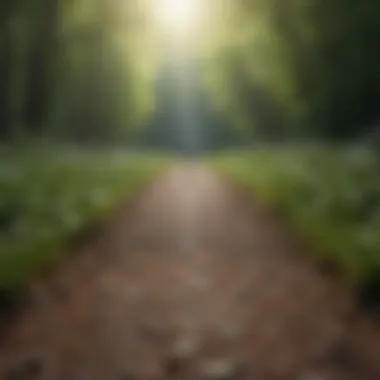Journey Towards Self-Acceptance A path leading towards personal growth and self-acceptance