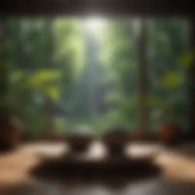 Cultivating Mindfulness A serene meditation space with calming elements