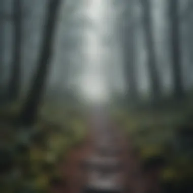 The Journey Through Uncertainty A path through a foggy forest symbolizing life's journey
