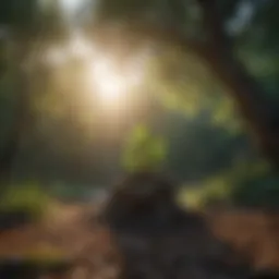 A serene landscape representing new beginnings