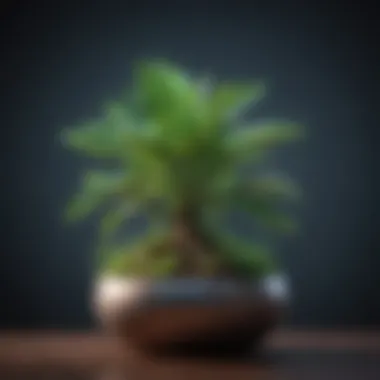 A vibrant plant growing, representing personal growth and renewal