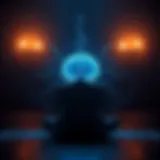 Brain activity during meditation