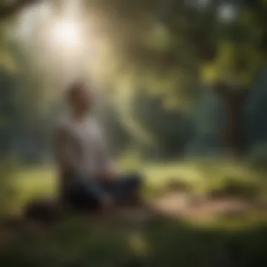 Meditating in Nature's Embrace A peaceful outdoor setting for meditation practice