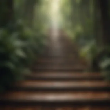Steps to Live a Happy Life Summary