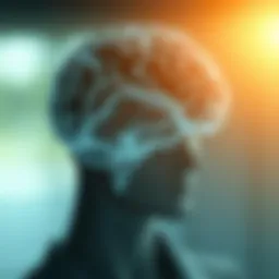 Abstract representation of emotional intelligence