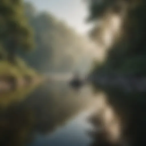 A serene landscape representing mental clarity and peace of mind
