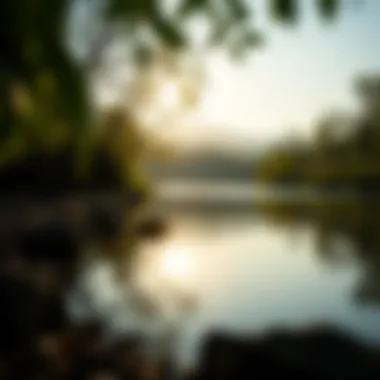 Tranquil nature scene with calming water