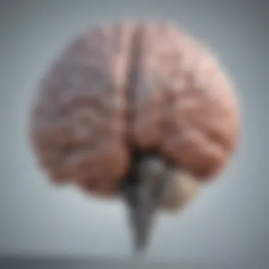Cultivating Clarity in Thought Patterns Illustration of a brain with clear thoughts