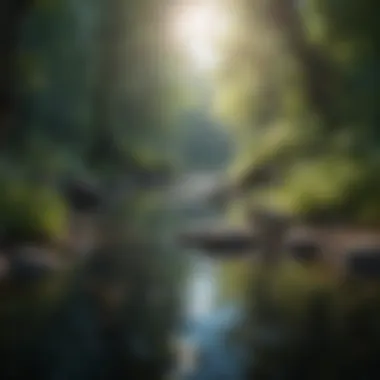 Nature's Tranquility for a Peaceful Mind Nature scene depicting tranquility and peace