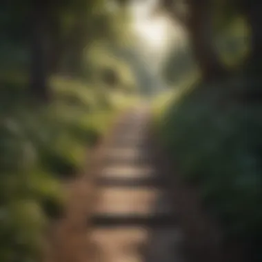Pathway to Tranquility Serene landscape with a path leading to tranquility