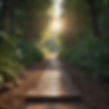 Pathway to Personal Growth A pathway leading towards growth and self-acceptance