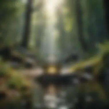 Embracing Tranquility A serene landscape promoting mindfulness