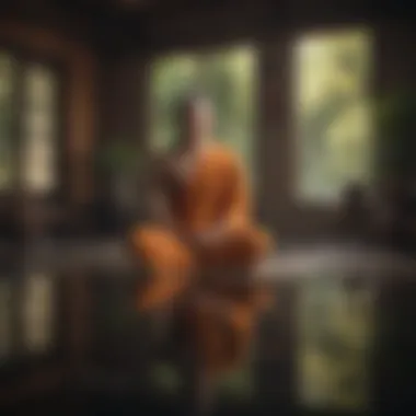 Mindful Reflection A meditation session capturing the essence of mindfulness