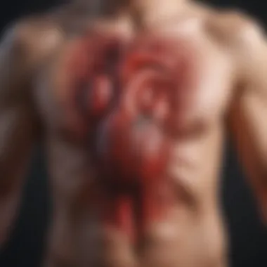 Understanding Heart Health and Circulation Visualization of heart and blood circulation