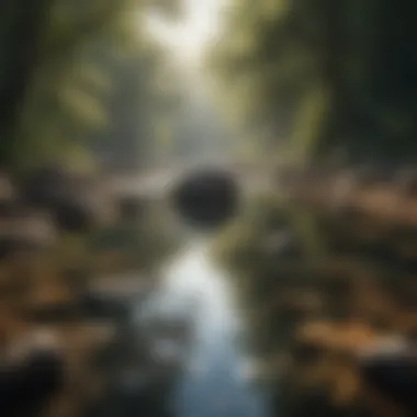 Tranquility and Clarity A peaceful landscape representing tranquility and clarity of mind