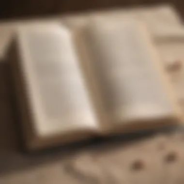 An Open Book on Meditation Techniques An open book with notes on meditation techniques