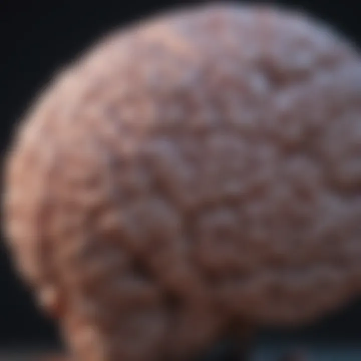 An abstract representation of the brain highlighting emotional complexities.