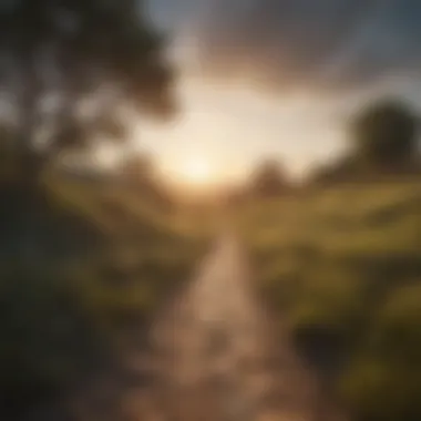 Path to Resilience A serene landscape depicting a path leading towards a brighter horizon