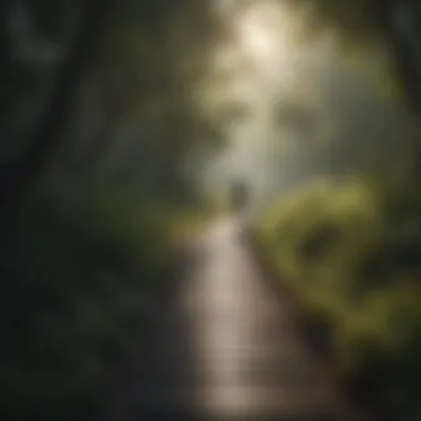 A Journey to Calm: The Pathway to Relief Pathway leading to a tranquil destination